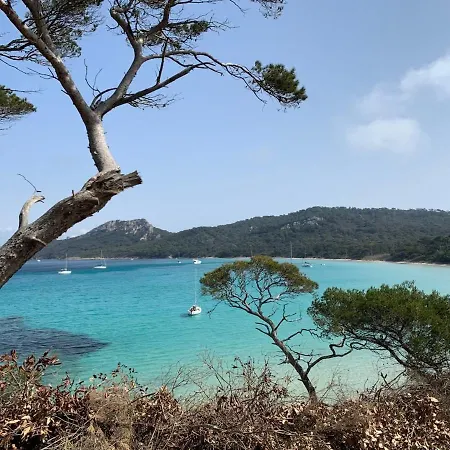 Apartment Sur L'ile De *
