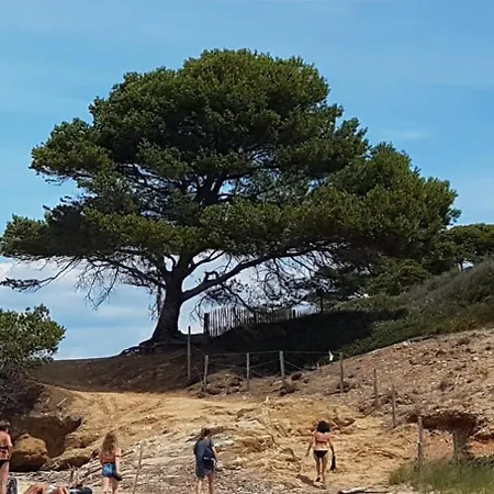Lejlighed Sur L'ile De Porquerolles